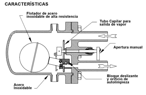 BLOTADOR EDITABLE (1)