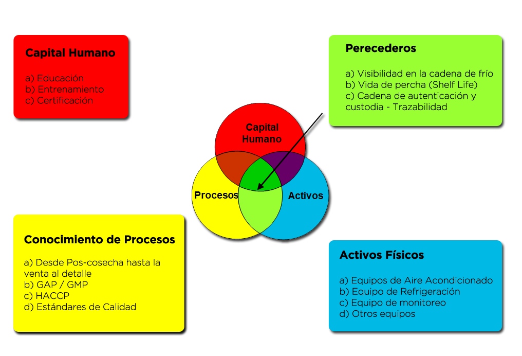 Modelo cadena fría