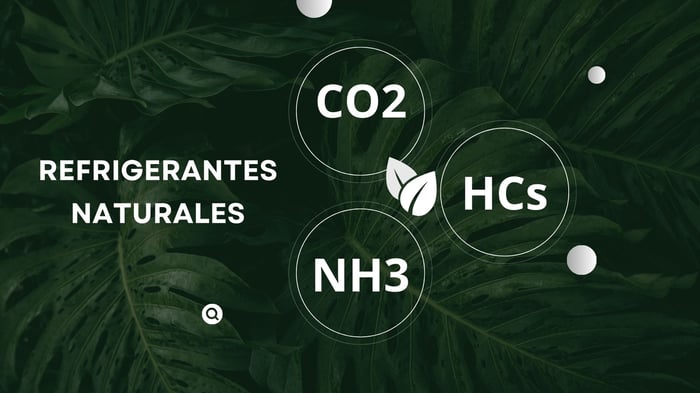 REFRIGERANTES NATURALES