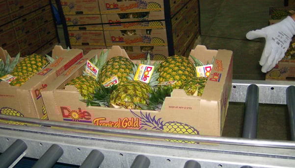 cadena de frío 