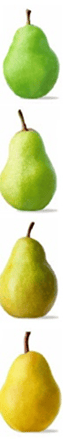 refrigeración 